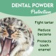 Oral Hygiene for Cats Oral Hygiene for Cats