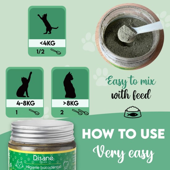 Oral Hygiene for Cats Oral Hygiene for Cats