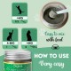 Oral Hygiene for Cats Oral Hygiene for Cats