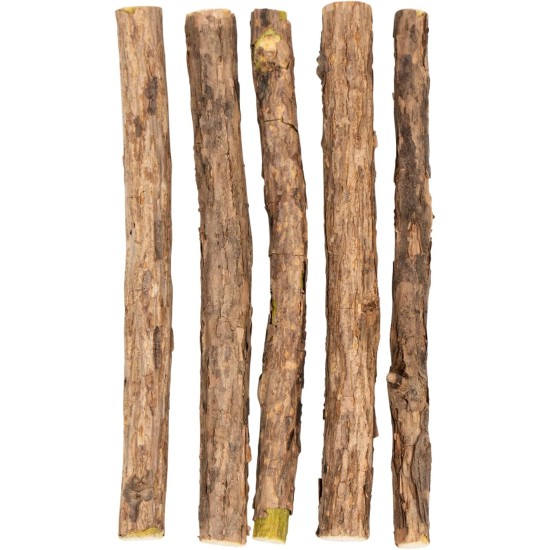 PETLIMA® | 5 x Matatabi Sticks - Natural Dental Care for Cats, Reduces Plaque & Tartar, Cat Toy with Essential Oils, Airtight Packed for Long-Lasting Freshness PETLIMA® | 5 x Matatabi Sticks - Natural Dental Care for Cats, Reduces Plaque & Tartar, Cat Toy with Essential Oils, Airtight Packed for Long-Lasting Freshness