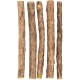 PETLIMA® | 5 x Matatabi Sticks - Natural Dental Care for Cats, Reduces Plaque & Tartar, Cat Toy with Essential Oils, Airtight Packed for Long-Lasting Freshness PETLIMA® | 5 x Matatabi Sticks - Natural Dental Care for Cats, Reduces Plaque & Tartar, Cat Toy with Essential Oils, Airtight Packed for Long-Lasting Freshness