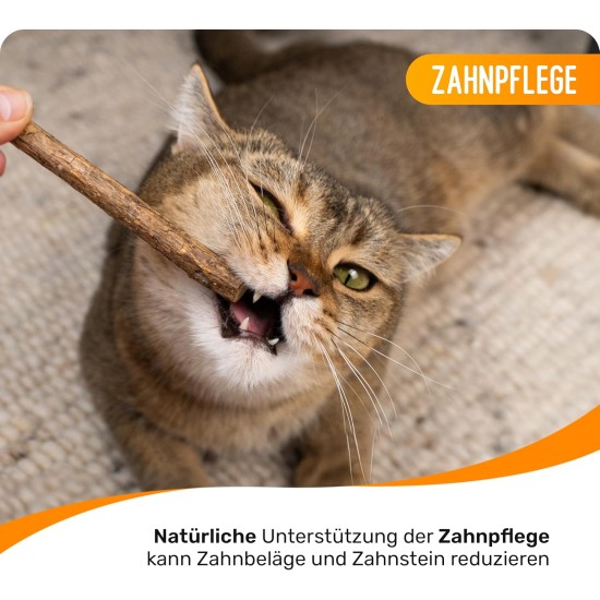 PETLIMA® | 5 x Matatabi Sticks - Natural Dental Care for Cats, Reduces Plaque & Tartar, Cat Toy with Essential Oils, Airtight Packed for Long-Lasting Freshness PETLIMA® | 5 x Matatabi Sticks - Natural Dental Care for Cats, Reduces Plaque & Tartar, Cat Toy with Essential Oils, Airtight Packed for Long-Lasting Freshness