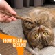 PETLIMA® | 5 x Matatabi Sticks - Natural Dental Care for Cats, Reduces Plaque & Tartar, Cat Toy with Essential Oils, Airtight Packed for Long-Lasting Freshness PETLIMA® | 5 x Matatabi Sticks - Natural Dental Care for Cats, Reduces Plaque & Tartar, Cat Toy with Essential Oils, Airtight Packed for Long-Lasting Freshness