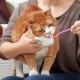 Pack of 3 Cat Teeth Brushes, Dog Toothbrush, Dental Care Cats, Double-Sided Cat Teeth Cleaning Brush with Micro Brush Head and Curved Handle, Deep Cleaning for Cat Teeth Care Accessories Pack of 3 Cat Teeth Brushes, Dog Toothbrush, Dental Care Cats, Double-Sided Cat Teeth Cleaning Brush with Micro Brush Head and Curved Handle, Deep Cleaning for Cat Teeth Care Accessories