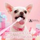 Pack of 3 Cat Toothbrush, 360 Degree Toothbrush for Small Pets, Reusable Toothbrush Made of Food-Grade Soft Silicone, Cleaning Set for Cats and Small Pets Pack of 3 Cat Toothbrush, 360 Degree Toothbrush for Small Pets, Reusable Toothbrush Made of Food-Grade Soft Silicone, Cleaning Set for Cats and Small Pets