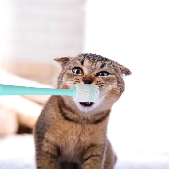Pack of 3 Cat Toothbrush, Cat Toothbrush for Cats, Cat Toothbrush 360 Degrees, Reusable, Small and Dogs, Silicone, Food Grade Toothbrush for Pets, Cleaning Set (3 Colours) Pack of 3 Cat Toothbrush, Cat Toothbrush for Cats, Cat Toothbrush 360 Degrees, Reusable, Small and Dogs, Silicone, Food Grade Toothbrush for Pets, Cleaning Set (3 Colours)