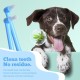 Pack of 4 cat toothbrushes, dog toothbrushes, cat toothbrushes for cats, dog toothbrush, dental care, small toothbrush, finger 360º cleaning, removal, for cat dog pet, pet care Pack of 4 cat toothbrushes, dog toothbrushes, cat toothbrushes for cats, dog toothbrush, dental care, small toothbrush, finger 360º cleaning, removal, for cat dog pet, pet care