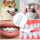 Pack of 4 cat toothbrushes, dog toothbrushes, cat toothbrushes for cats, dog toothbrush, dental care, small toothbrush, finger 360º cleaning, removal, for cat dog pet, pet care Pack of 4 cat toothbrushes, dog toothbrushes, cat toothbrushes for cats, dog toothbrush, dental care, small toothbrush, finger 360º cleaning, removal, for cat dog pet, pet care