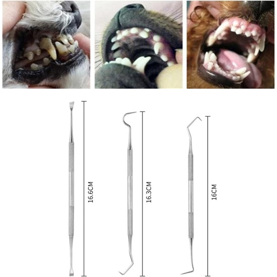 Pet Tooth Scaler Cleaning Kit, 3 Pieces Stainless Steel Tartar Remover Plaque Remover for Dogs Cats Pet Tooth Scaler Cleaning Kit, 3 Pieces Stainless Steel Tartar Remover Plaque Remover for Dogs Cats