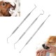 Pet Tooth Scaler Cleaning Kit, 3 Pieces Stainless Steel Tartar Remover Plaque Remover for Dogs Cats Pet Tooth Scaler Cleaning Kit, 3 Pieces Stainless Steel Tartar Remover Plaque Remover for Dogs Cats
