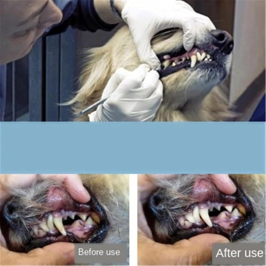 Pet Tooth Scaler Cleaning Kit, 3 Pieces Stainless Steel Tartar Remover Plaque Remover for Dogs Cats Pet Tooth Scaler Cleaning Kit, 3 Pieces Stainless Steel Tartar Remover Plaque Remover for Dogs Cats