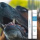 Pet Toothbrush Pen, Pet Toothbrush Pen, Dog Teeth Cleaning Pen, Cat Tartar Remover, Toothbrush Gentle Care for Fresh Breath, Suitable for Pets Dental Care (2 Pieces) Pet Toothbrush Pen, Pet Toothbrush Pen, Dog Teeth Cleaning Pen, Cat Tartar Remover, Toothbrush Gentle Care for Fresh Breath, Suitable for Pets Dental Care (2 Pieces)