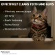 Petosan 3 x Toothpaste for Cats - 3 x 70 g Toothpaste for Cats Dental Care Petosan 3 x Toothpaste for Cats - 3 x 70 g Toothpaste for Cats Dental Care