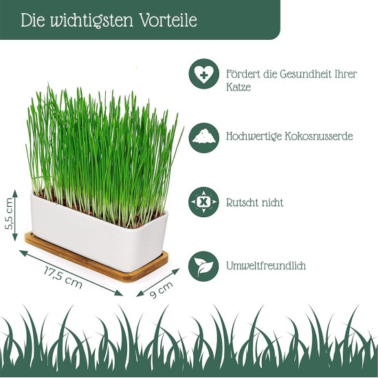 Pfotenolymp® Premium Cat Grass Bowl/Cat Grass Set - Ceramic Cat Grass Bowl - Plant Set Ready with Seeds, Soil and Pot for Cats - with Ceramic Bowl - DIY Pfotenolymp® Premium Cat Grass Bowl/Cat Grass Set - Ceramic Cat Grass Bowl - Plant Set Ready with Seeds, Soil and Pot for Cats - with Ceramic Bowl - DIY