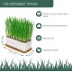 Pfotenolymp® Premium Cat Grass Bowl/Cat Grass Set - Ceramic Cat Grass Bowl - Plant Set Ready with Seeds, Soil and Pot for Cats - with Ceramic Bowl - DIY Pfotenolymp® Premium Cat Grass Bowl/Cat Grass Set - Ceramic Cat Grass Bowl - Plant Set Ready with Seeds, Soil and Pot for Cats - with Ceramic Bowl - DIY