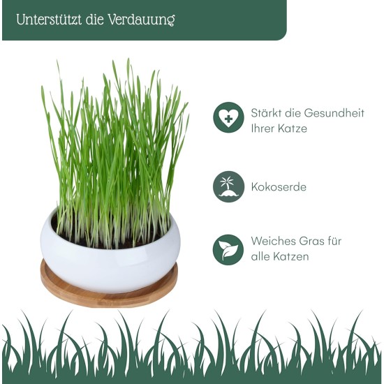 Pfotenolymp® Premium Cat Grass Bowl/Cat Grass Set - Ceramic Cat Grass Bowl - Plant Set Ready with Seeds, Soil and Pot for Cats - with Ceramic Bowl - DIY Pfotenolymp® Premium Cat Grass Bowl/Cat Grass Set - Ceramic Cat Grass Bowl - Plant Set Ready with Seeds, Soil and Pot for Cats - with Ceramic Bowl - DIY