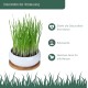 Pfotenolymp® Premium Cat Grass Bowl/Cat Grass Set - Ceramic Cat Grass Bowl - Plant Set Ready with Seeds, Soil and Pot for Cats - with Ceramic Bowl - DIY Pfotenolymp® Premium Cat Grass Bowl/Cat Grass Set - Ceramic Cat Grass Bowl - Plant Set Ready with Seeds, Soil and Pot for Cats - with Ceramic Bowl - DIY
