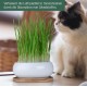 Pfotenolymp® Premium Cat Grass Bowl/Cat Grass Set - Ceramic Cat Grass Bowl - Plant Set Ready with Seeds, Soil and Pot for Cats - with Ceramic Bowl - DIY Pfotenolymp® Premium Cat Grass Bowl/Cat Grass Set - Ceramic Cat Grass Bowl - Plant Set Ready with Seeds, Soil and Pot for Cats - with Ceramic Bowl - DIY