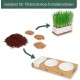 Pfotenolymp® Premium Cat Grass Bowl/Cat Grass Set - Ceramic Cat Grass Bowl - Plant Set Ready with Seeds, Soil and Pot for Cats - with Ceramic Bowl - DIY Pfotenolymp® Premium Cat Grass Bowl/Cat Grass Set - Ceramic Cat Grass Bowl - Plant Set Ready with Seeds, Soil and Pot for Cats - with Ceramic Bowl - DIY