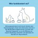 ProDen PlaqueOff Dental Bites for Cats - Removes Tartar & Bad Breath - 100% Natural Teeth Cleaning - Promotes General Oral Health - Salmon Flavour - 60g ProDen PlaqueOff Dental Bites for Cats - Removes Tartar & Bad Breath - 100% Natural Teeth Cleaning - Promotes General Oral Health - Salmon Flavour - 60g