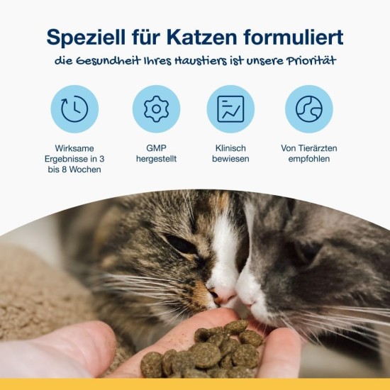 ProDen PlaqueOff Dental Bites für Katzen – Entfernt Zahnstein & schlechten Atem – 100% natürliche Zahnreinigung – Fördert die allgemeine Mundgesundheit – Geschmack: Lachs – 60 g ProDen PlaqueOff Dental Bites für Katzen – Entfernt Zahnstein & schlechten Atem – 100% natürliche Zahnreinigung – Fördert die allgemeine Mundgesundheit – Geschmack: Lachs – 60 g