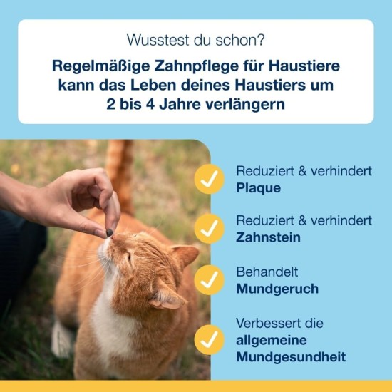 ProDen PlaqueOff Dental Bites für Katzen – Entfernt Zahnstein & schlechten Atem – 100% natürliche Zahnreinigung – Fördert die allgemeine Mundgesundheit – Geschmack: Lachs – 60 g ProDen PlaqueOff Dental Bites für Katzen – Entfernt Zahnstein & schlechten Atem – 100% natürliche Zahnreinigung – Fördert die allgemeine Mundgesundheit – Geschmack: Lachs – 60 g