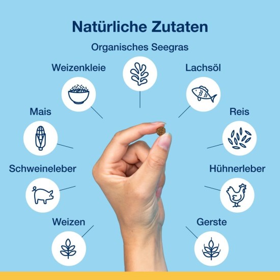 ProDen PlaqueOff Dental Bites für Katzen – Entfernt Zahnstein & schlechten Atem – 100% natürliche Zahnreinigung – Fördert die allgemeine Mundgesundheit – Geschmack: Lachs – 60 g ProDen PlaqueOff Dental Bites für Katzen – Entfernt Zahnstein & schlechten Atem – 100% natürliche Zahnreinigung – Fördert die allgemeine Mundgesundheit – Geschmack: Lachs – 60 g