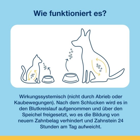 ProDen PlaqueOff Dental Bites für Katzen – Entfernt Zahnstein & schlechten Atem – 100% natürliche Zahnreinigung – Fördert die allgemeine Mundgesundheit – Geschmack: Lachs – 60 g ProDen PlaqueOff Dental Bites für Katzen – Entfernt Zahnstein & schlechten Atem – 100% natürliche Zahnreinigung – Fördert die allgemeine Mundgesundheit – Geschmack: Lachs – 60 g