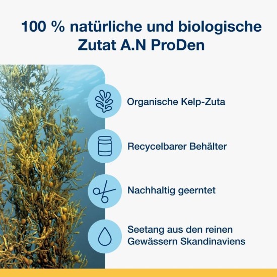 ProDen PlaqueOff Dental Bites für Katzen – Entfernt Zahnstein & schlechten Atem – 100% natürliche Zahnreinigung – Fördert die allgemeine Mundgesundheit – Geschmack: Lachs – 60 g ProDen PlaqueOff Dental Bites für Katzen – Entfernt Zahnstein & schlechten Atem – 100% natürliche Zahnreinigung – Fördert die allgemeine Mundgesundheit – Geschmack: Lachs – 60 g