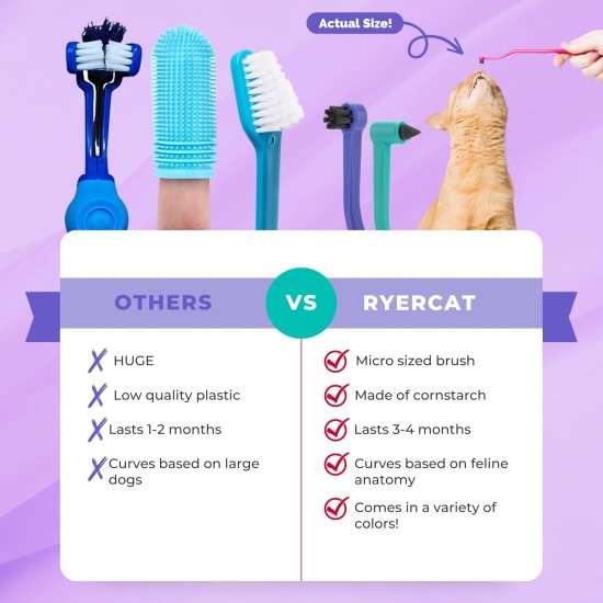 RYERCAT Set of 2 Cat Accessories, Double-Sided Cat Toothbrush, Kitten Toothbrush with Micro Head for Cats/Kittens, Cat Teeth Care, Toothbrush for Cats (Amethyst Purple and Ocean Blue) RYERCAT Set of 2 Cat Accessories, Double-Sided Cat Toothbrush, Kitten Toothbrush with Micro Head for Cats/Kittens, Cat Teeth Care, Toothbrush for Cats (Amethyst Purple and Ocean Blue)