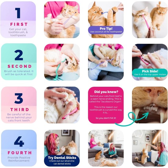 RYERCAT Set of 2 Cat Accessories, Double-Sided Cat Toothbrush, Kitten Toothbrush with Micro Head for Cats/Kittens, Cat Teeth Care, Toothbrush for Cats (Amethyst Purple and Ocean Blue) RYERCAT Set of 2 Cat Accessories, Double-Sided Cat Toothbrush, Kitten Toothbrush with Micro Head for Cats/Kittens, Cat Teeth Care, Toothbrush for Cats (Amethyst Purple and Ocean Blue)