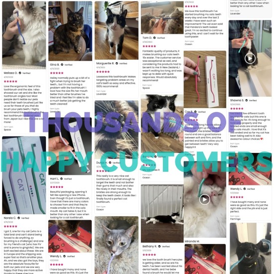 RYERCAT Set of 2 Cat Accessories, Double-Sided Cat Toothbrush, Kitten Toothbrush with Micro Head for Cats/Kittens, Cat Teeth Care, Toothbrush for Cats (Amethyst Purple and Ocean Blue) RYERCAT Set of 2 Cat Accessories, Double-Sided Cat Toothbrush, Kitten Toothbrush with Micro Head for Cats/Kittens, Cat Teeth Care, Toothbrush for Cats (Amethyst Purple and Ocean Blue)