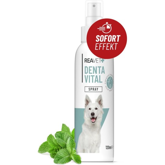 ReaVET Denta Vital - Dental Care Finger Pads for Dogs & Cats Pack of 50 - Teeth Cleaning, Dental Care without Toothbrush Tartar Remover I Finger Pads, Finger Cots Against Bad Breath ReaVET Denta Vital - Dental Care Finger Pads for Dogs & Cats Pack of 50 - Teeth Cleaning, Dental Care without Toothbrush Tartar Remover I Finger Pads, Finger Cots Against Bad Breath
