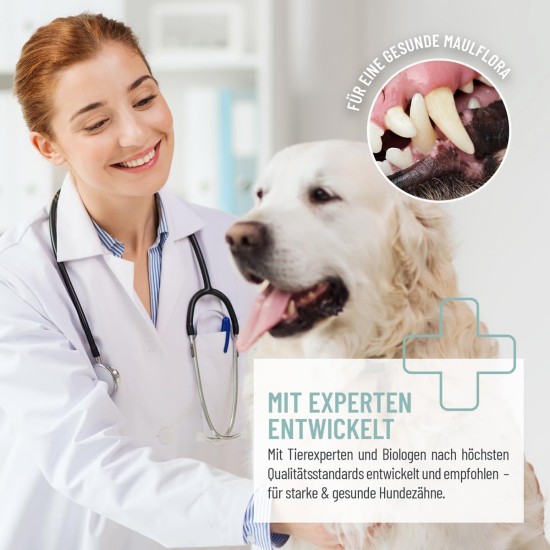 ReaVET Denta Vital - Dental Care Finger Pads for Dogs & Cats Pack of 50 - Teeth Cleaning, Dental Care without Toothbrush Tartar Remover I Finger Pads, Finger Cots Against Bad Breath ReaVET Denta Vital - Dental Care Finger Pads for Dogs & Cats Pack of 50 - Teeth Cleaning, Dental Care without Toothbrush Tartar Remover I Finger Pads, Finger Cots Against Bad Breath