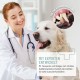 ReaVET Denta Vital - Dental Care Finger Pads for Dogs & Cats Pack of 50 - Teeth Cleaning, Dental Care without Toothbrush Tartar Remover I Finger Pads, Finger Cots Against Bad Breath ReaVET Denta Vital - Dental Care Finger Pads for Dogs & Cats Pack of 50 - Teeth Cleaning, Dental Care without Toothbrush Tartar Remover I Finger Pads, Finger Cots Against Bad Breath
