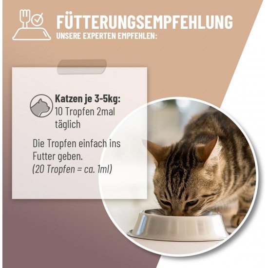 ReaVET Stomach & Intestinal Drops for Cats 50 ml I Intestinal Restoration Cat I Liquid Supports Intestinal Flora & Natural Intestinal Regulation - Secondary for Diarrhea or Bloating ReaVET Stomach & Intestinal Drops for Cats 50 ml I Intestinal Restoration Cat I Liquid Supports Intestinal Flora & Natural Intestinal Regulation - Secondary for Diarrhea or Bloating