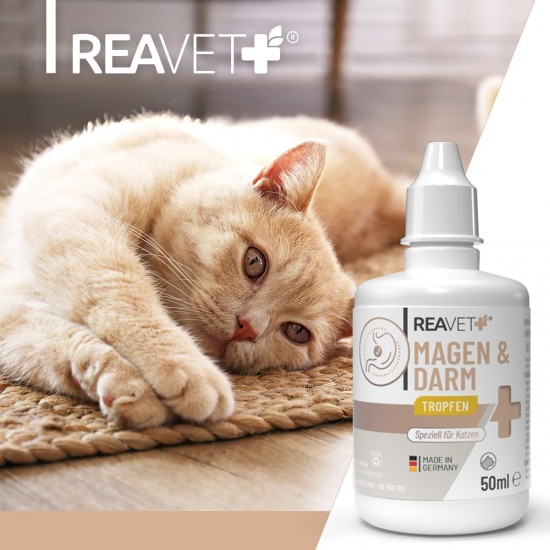ReaVET Stomach & Intestinal Drops for Cats 50 ml I Intestinal Restoration Cat I Liquid Supports Intestinal Flora & Natural Intestinal Regulation - Secondary for Diarrhea or Bloating ReaVET Stomach & Intestinal Drops for Cats 50 ml I Intestinal Restoration Cat I Liquid Supports Intestinal Flora & Natural Intestinal Regulation - Secondary for Diarrhea or Bloating