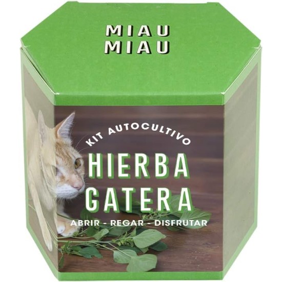 Resetea, Self-breeding kit, Katera (1) Resetea, Self-breeding kit, Katera (1)