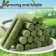 Sporgo Pack of 24 Cat Grass Snack: 120 g Freeze-Dried Snacks for Cats for Dental Care and Hair Balls Removal, Cat Grass Teething Stick Catnip Biting Stick Cat Grass for Cats Sporgo Pack of 24 Cat Grass Snack: 120 g Freeze-Dried Snacks for Cats for Dental Care and Hair Balls Removal, Cat Grass Teething Stick Catnip Biting Stick Cat Grass for Cats