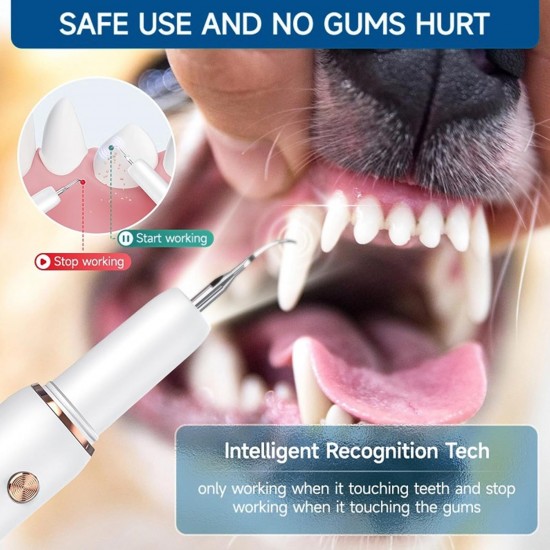 TECKZOON Professional Tartar Remover Tooth Cleaning Set for Dogs & Cats - 5 Adjustable Modes, 4 Interchangeable Heads with LED Light | Effective Tartar Removal & Gentle Cleaning TECKZOON Professional Tartar Remover Tooth Cleaning Set for Dogs & Cats - 5 Adjustable Modes, 4 Interchangeable Heads with LED Light | Effective Tartar Removal & Gentle Cleaning