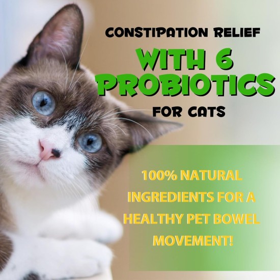 Treatment of Constipation in Cats, Constipation Laxative, Probiotic Supplement with 6 Probiotics, Prevents Stool Buildup, Promotes Cat's Gut Health Treatment of Constipation in Cats, Constipation Laxative, Probiotic Supplement with 6 Probiotics, Prevents Stool Buildup, Promotes Cat's Gut Health