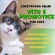 Treatment of Constipation in Cats, Constipation Laxative, Probiotic Supplement with 6 Probiotics, Prevents Stool Buildup, Promotes Cat's Gut Health Treatment of Constipation in Cats, Constipation Laxative, Probiotic Supplement with 6 Probiotics, Prevents Stool Buildup, Promotes Cat's Gut Health