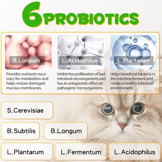 Treatment of Constipation in Cats, Constipation Laxative, Probiotic Supplement with 6 Probiotics, Prevents Stool Buildup, Promotes Cat's Gut Health Treatment of Constipation in Cats, Constipation Laxative, Probiotic Supplement with 6 Probiotics, Prevents Stool Buildup, Promotes Cat's Gut Health