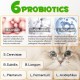 Treatment of Constipation in Cats, Constipation Laxative, Probiotic Supplement with 6 Probiotics, Prevents Stool Buildup, Promotes Cat's Gut Health Treatment of Constipation in Cats, Constipation Laxative, Probiotic Supplement with 6 Probiotics, Prevents Stool Buildup, Promotes Cat's Gut Health