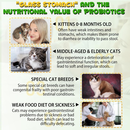 Treatment of Constipation in Cats, Constipation Laxative, Probiotic Supplement with 6 Probiotics, Prevents Stool Buildup, Promotes Cat's Gut Health Treatment of Constipation in Cats, Constipation Laxative, Probiotic Supplement with 6 Probiotics, Prevents Stool Buildup, Promotes Cat's Gut Health