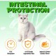 Treatment of Constipation in Cats, Constipation Laxative, Probiotic Supplement with 6 Probiotics, Prevents Stool Buildup, Promotes Cat's Gut Health Treatment of Constipation in Cats, Constipation Laxative, Probiotic Supplement with 6 Probiotics, Prevents Stool Buildup, Promotes Cat's Gut Health