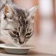 Vet's Best Dental Powder for Cats - 45 g Vet's Best Dental Powder for Cats - 45 g