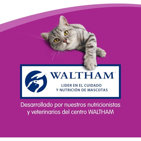 Whiskas Salmon Catsticks 3 Sticks (Pack of 28) Whiskas Salmon Catsticks 3 Sticks (Pack of 28)