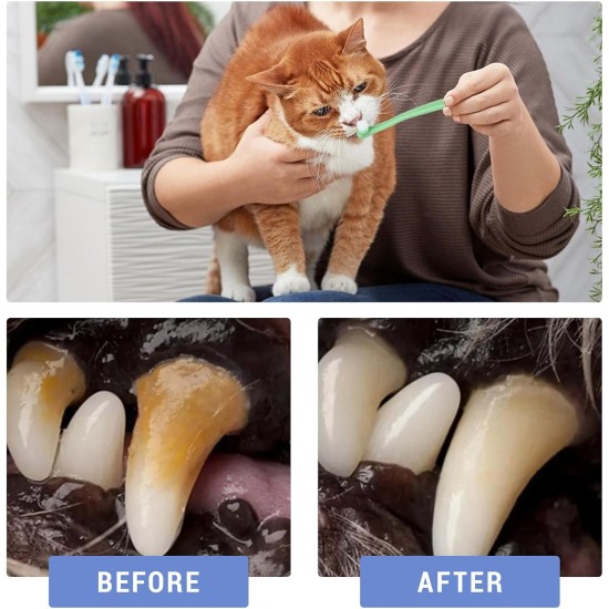 YANINEE 6 Piece Soft Silicone Cat Toothbrush Set, Nylon Cat Toothbrush, Cat Toothbrush YANINEE 6 Piece Soft Silicone Cat Toothbrush Set, Nylon Cat Toothbrush, Cat Toothbrush