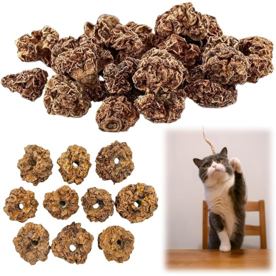 ZDL Fruits as Cat Toy for Cats, 20 Pieces Matatabi Fruit Toy for Cats, Toy for Cats, Teeth Cleaning Dental Edible Kitten Toy Cats Teeth Cleaning ZDL Fruits as Cat Toy for Cats, 20 Pieces Matatabi Fruit Toy for Cats, Toy for Cats, Teeth Cleaning Dental Edible Kitten Toy Cats Teeth Cleaning